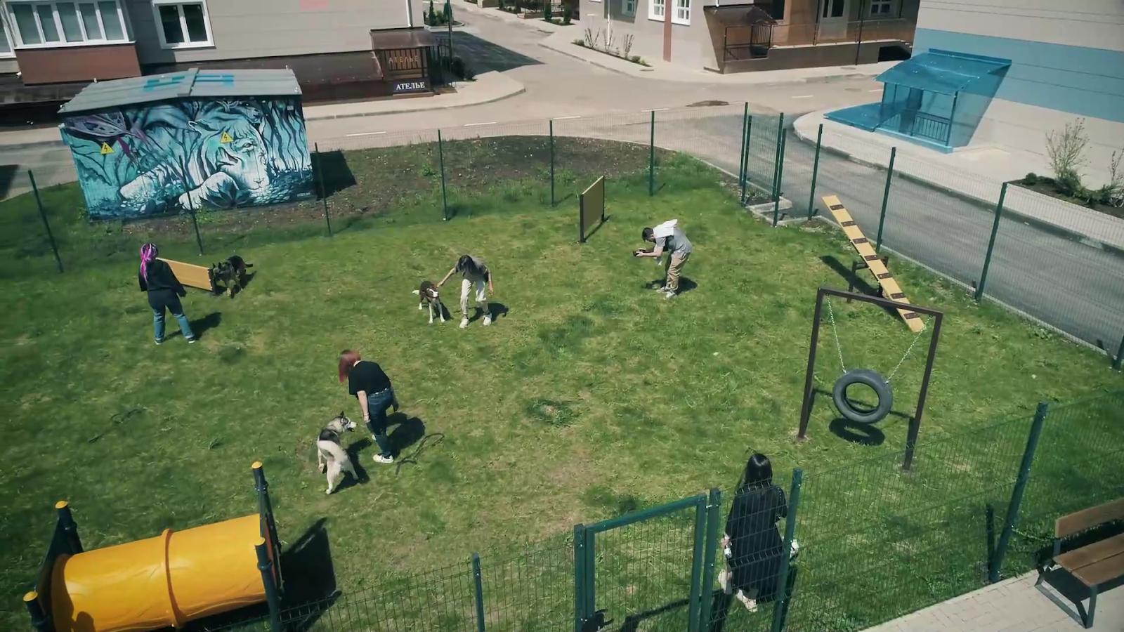 Площадка для занятий с собаками